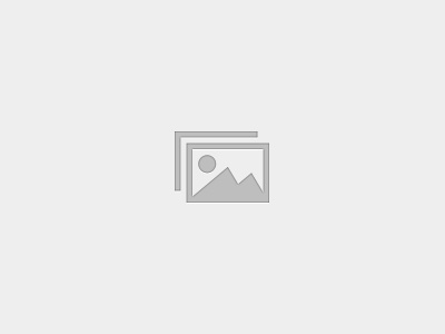 May 2020 Virtual Chapter Meeting