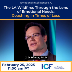 The LA Wildfires Through the Lens of Emotional Needs: Coaching in Times of Loss (VIDEO)